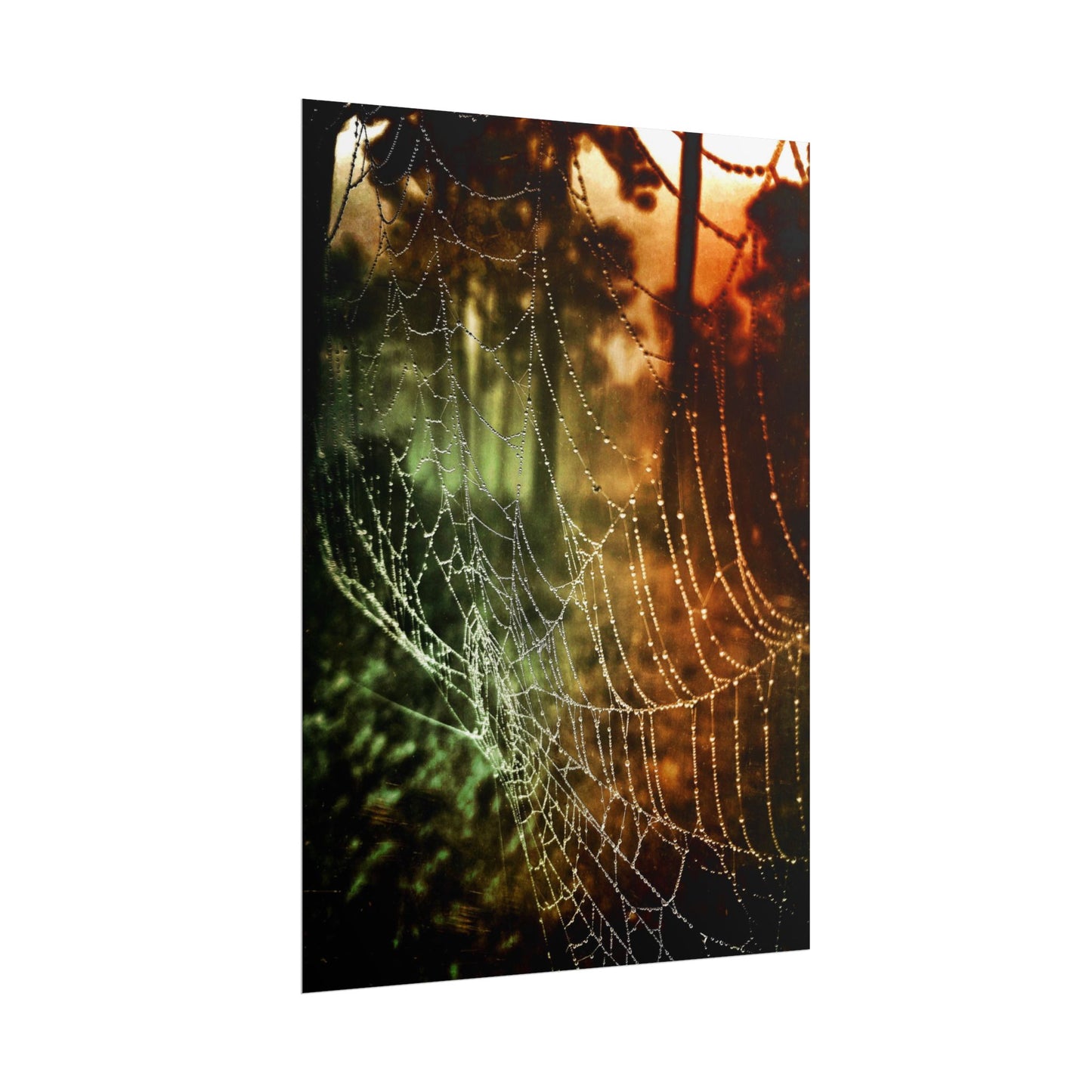 Tears of Dawn (V.2) Rolled Poster
