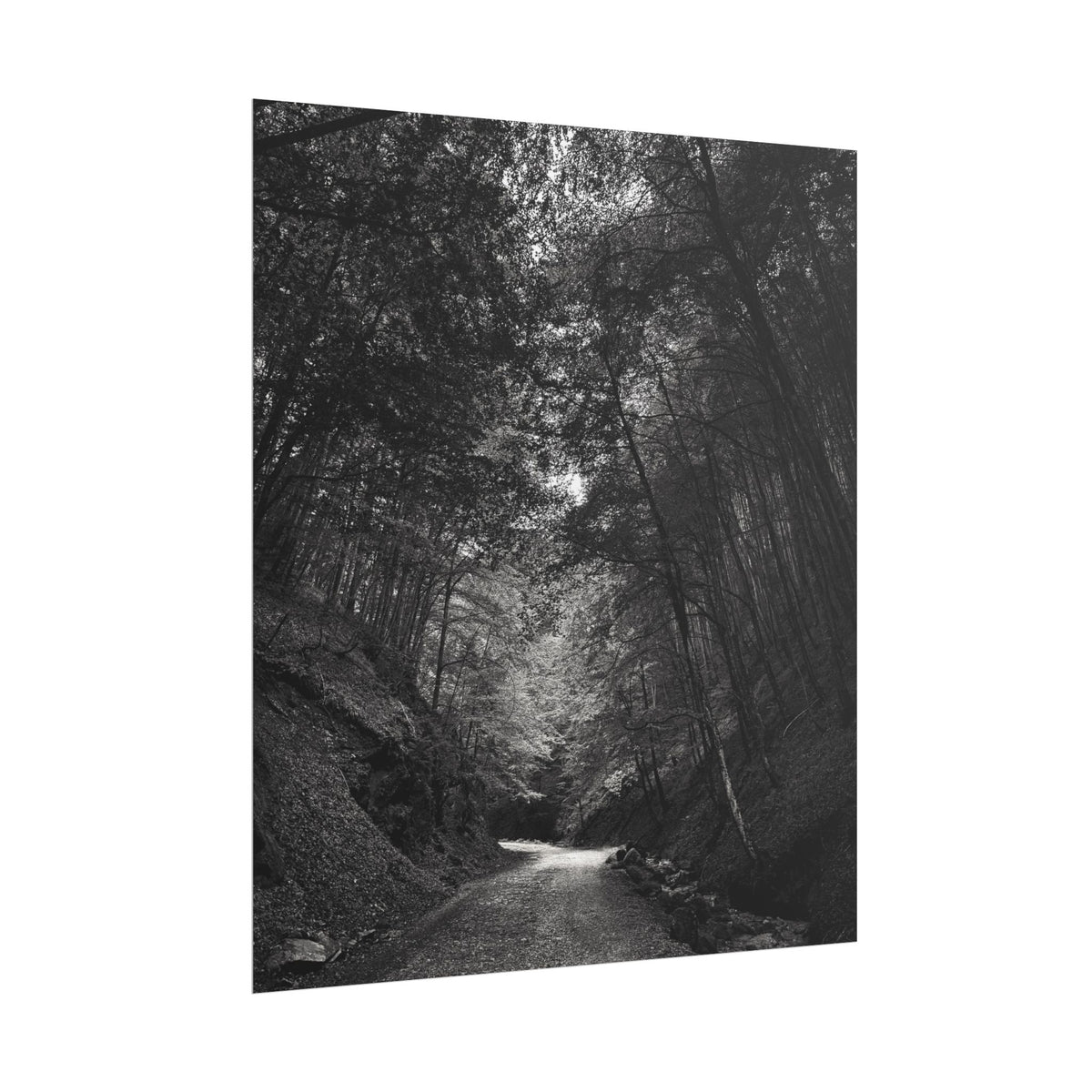 Carpathian Forest Rolled Posters
