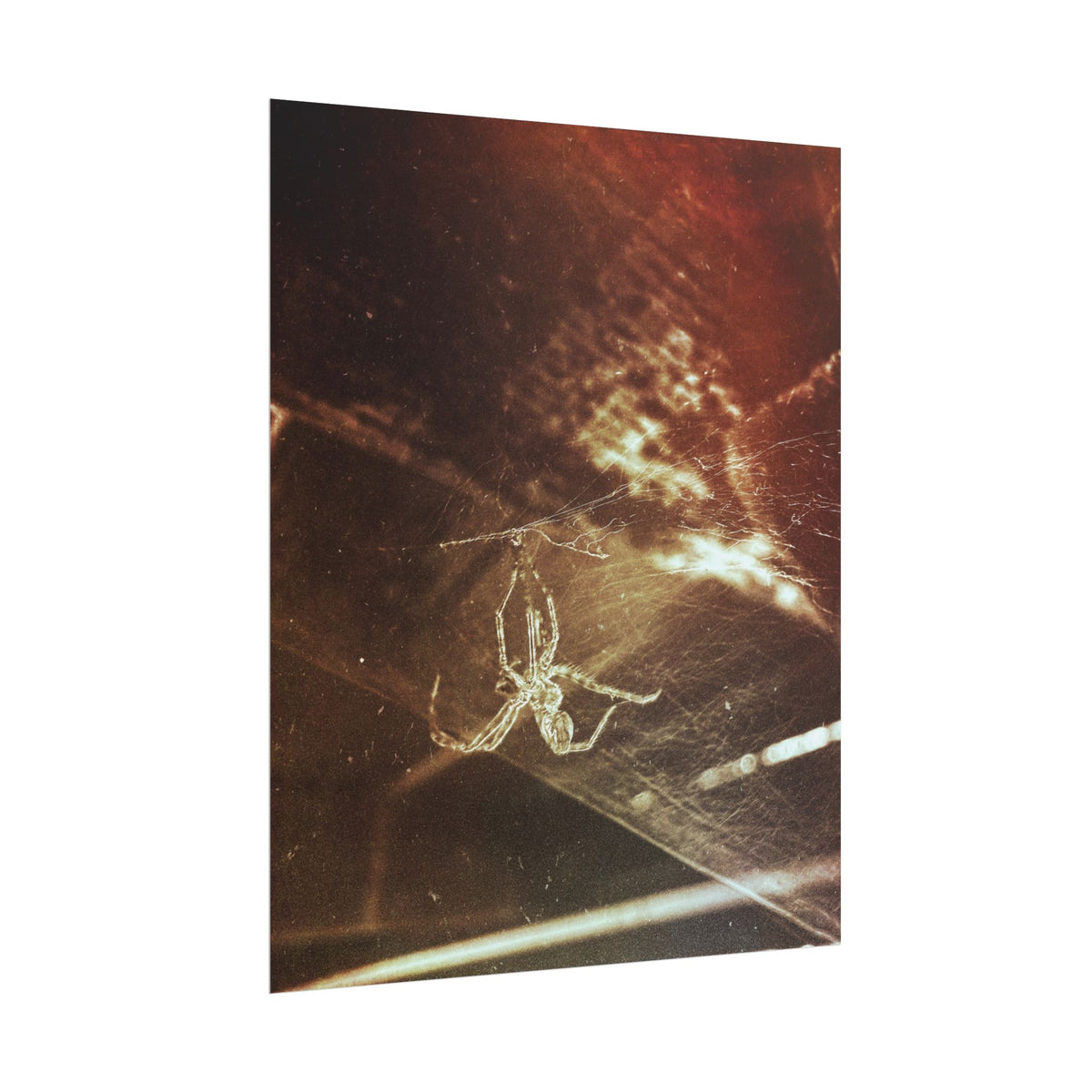 Discarded Nightmare Rolled Posters