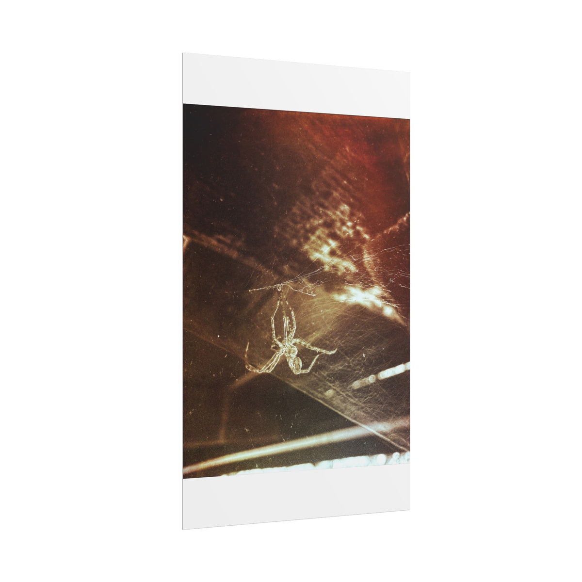 Discarded Nightmare Rolled Posters