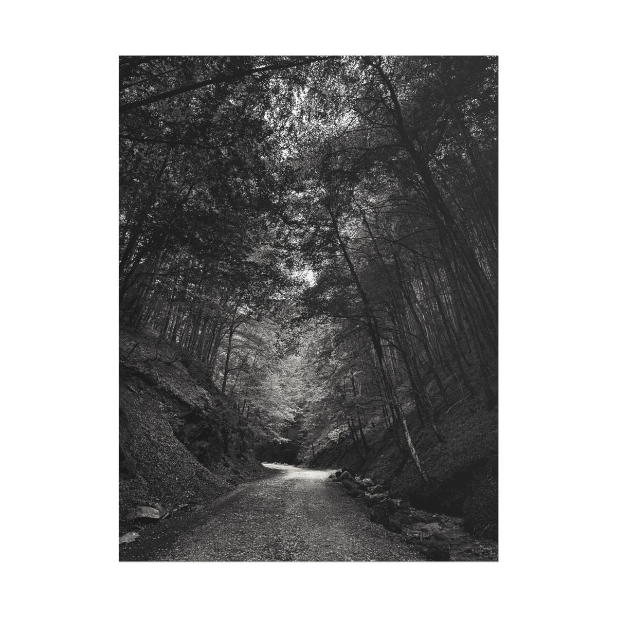 Carpathian Forest Rolled Posters