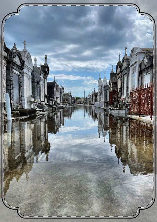 Avenue of Forever Flat Greeting Cards (envelopes included)