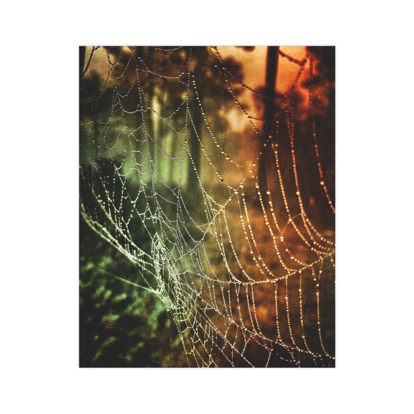 Tears of Dawn Paper Print