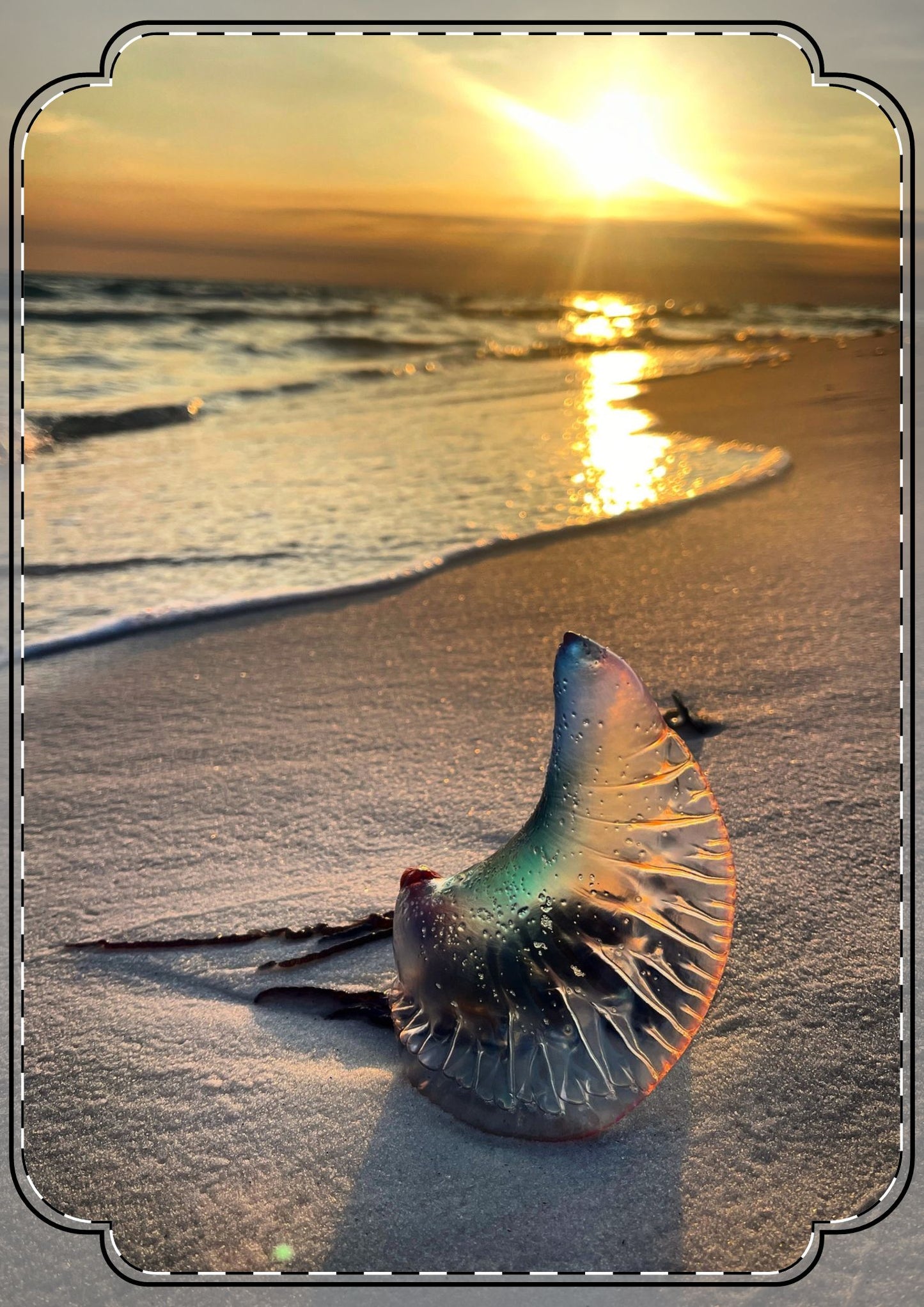 The Day The Moon Washed Ashore Flat Greeting Cards (envelopes included)