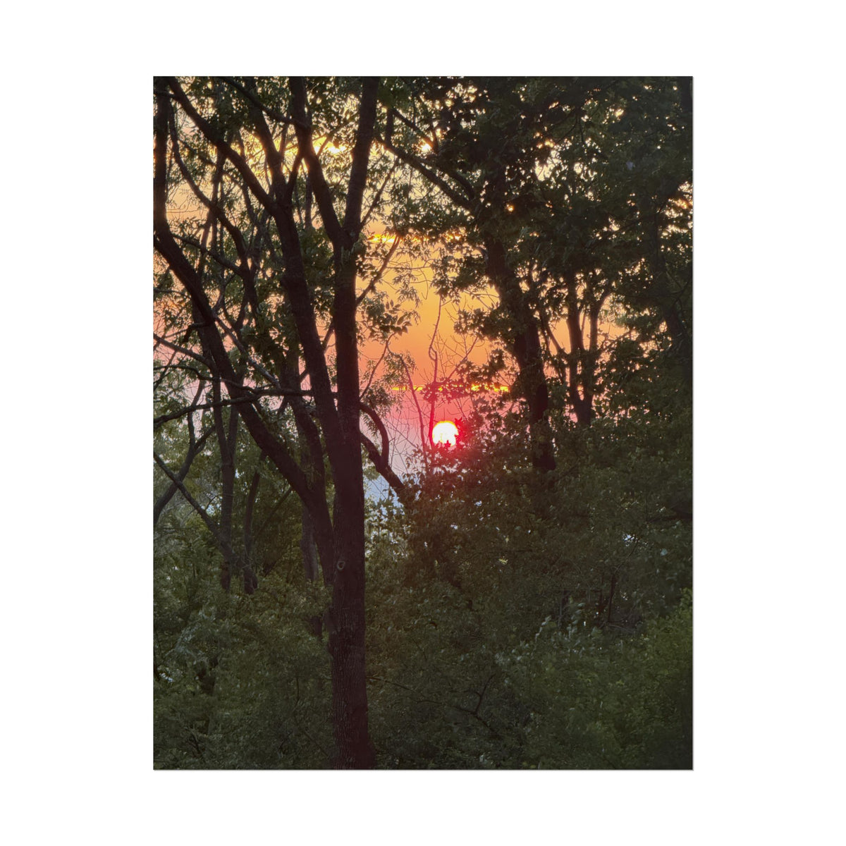 Carpathian Sunset Rolled Posters