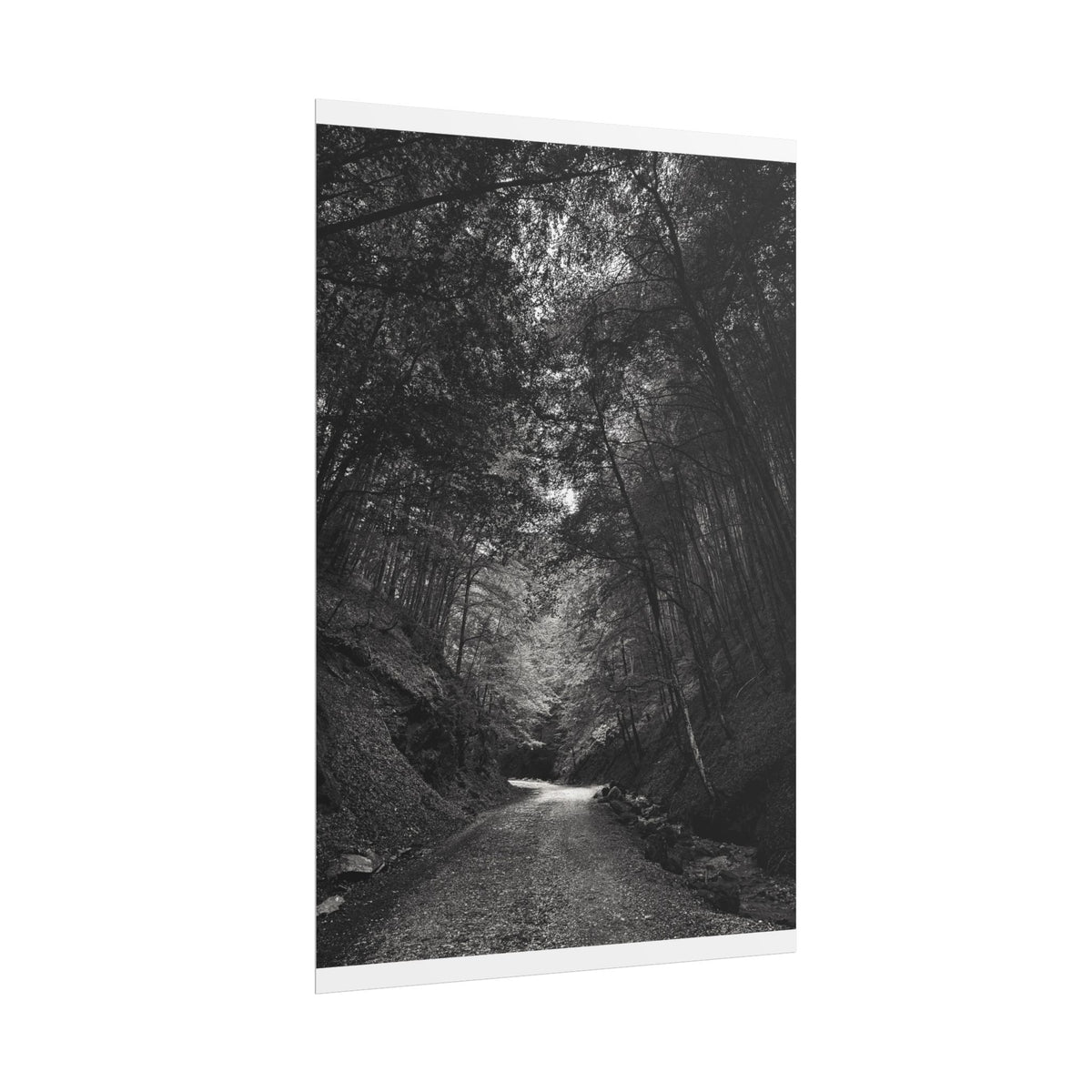 Carpathian Forest Rolled Posters