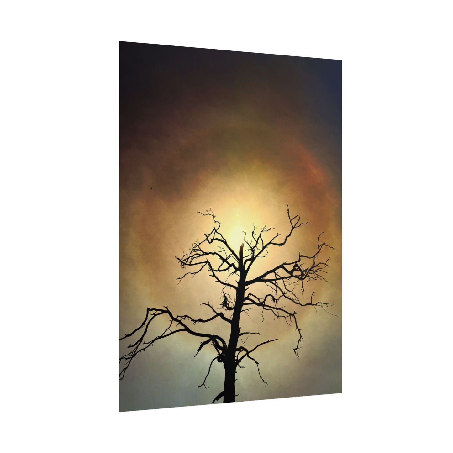 The Great Eye Opens Rolled Poster