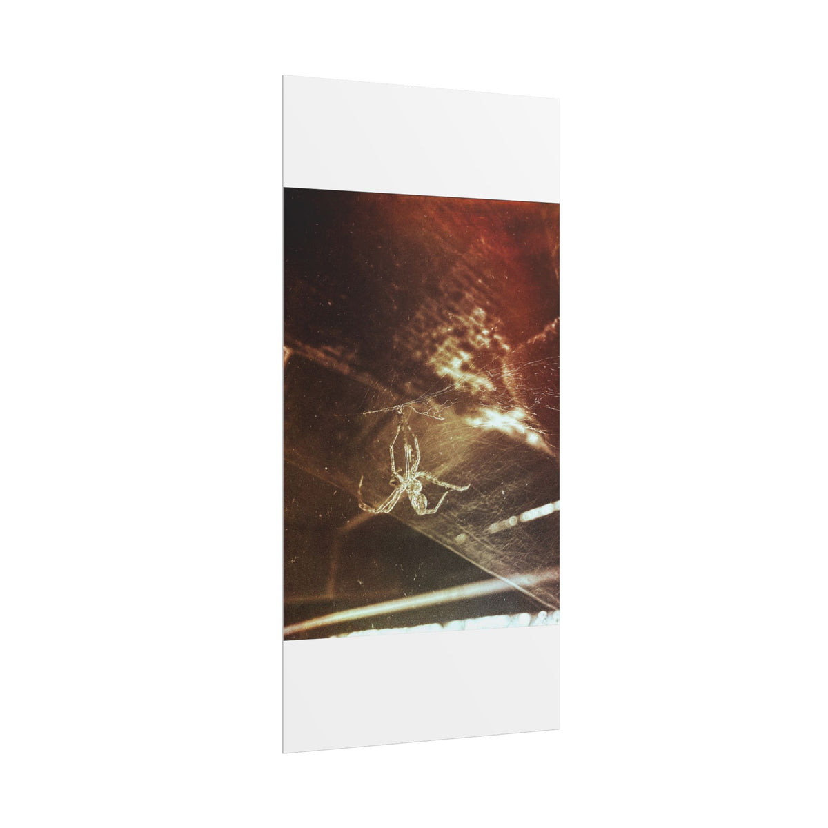 Discarded Nightmare Rolled Posters