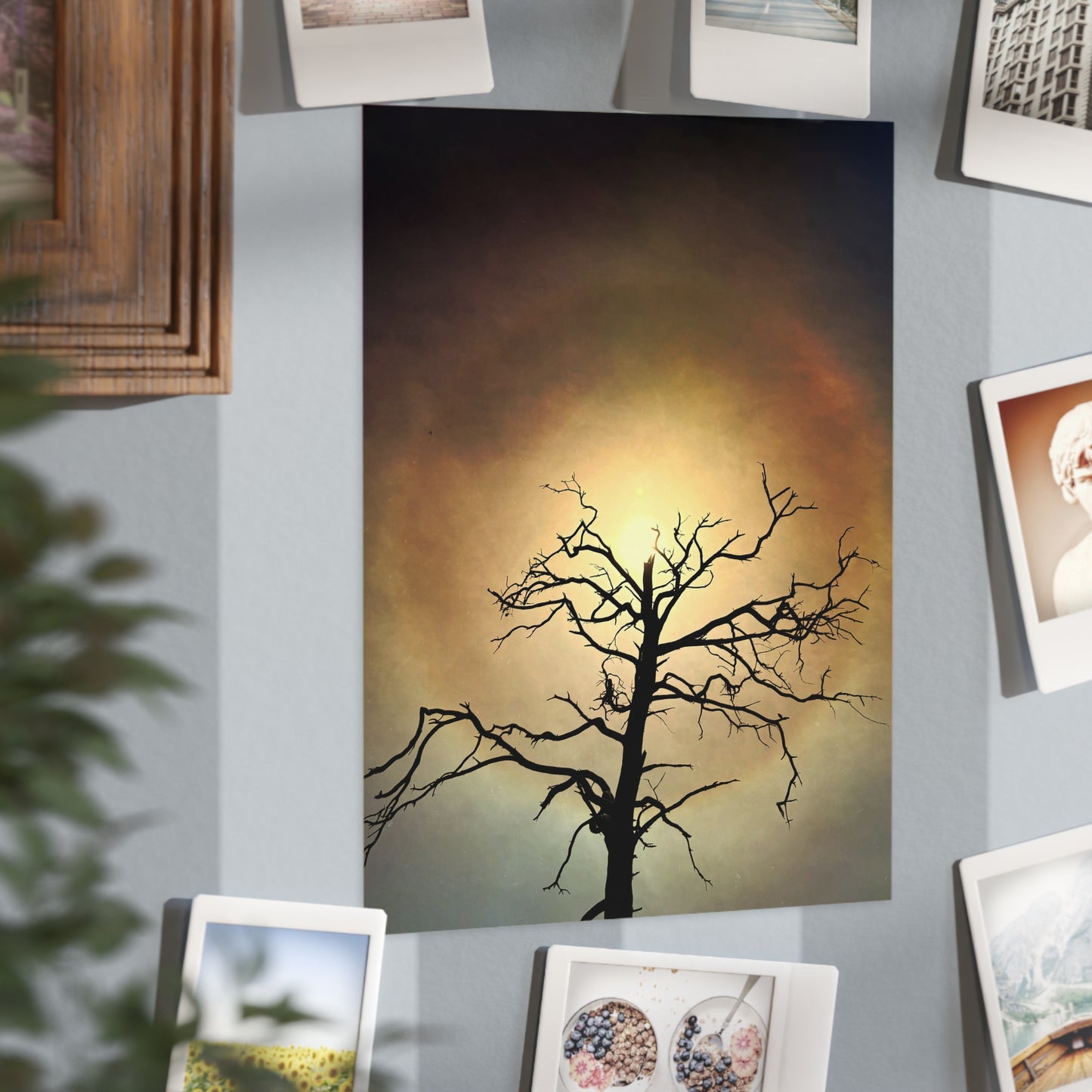 The Eye Opens Paper Print