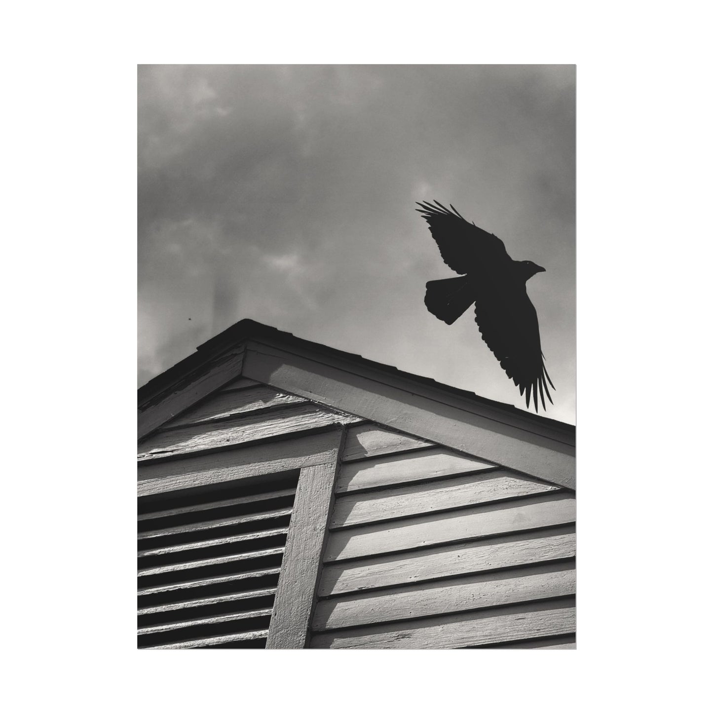 The Guardian At Dawn Rolled Poster