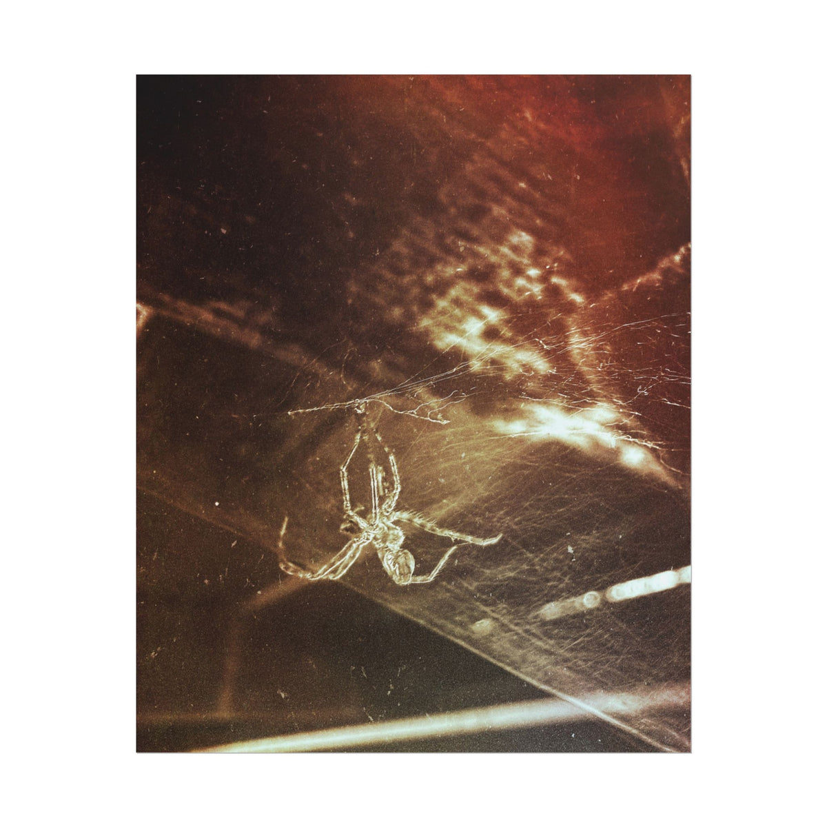 Discarded Nightmare Rolled Posters
