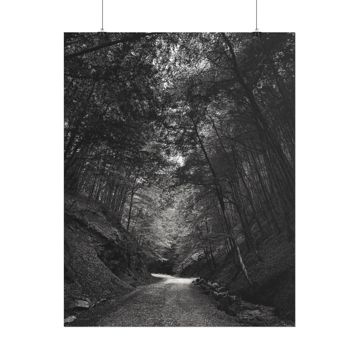 Carpathian Forest Rolled Posters