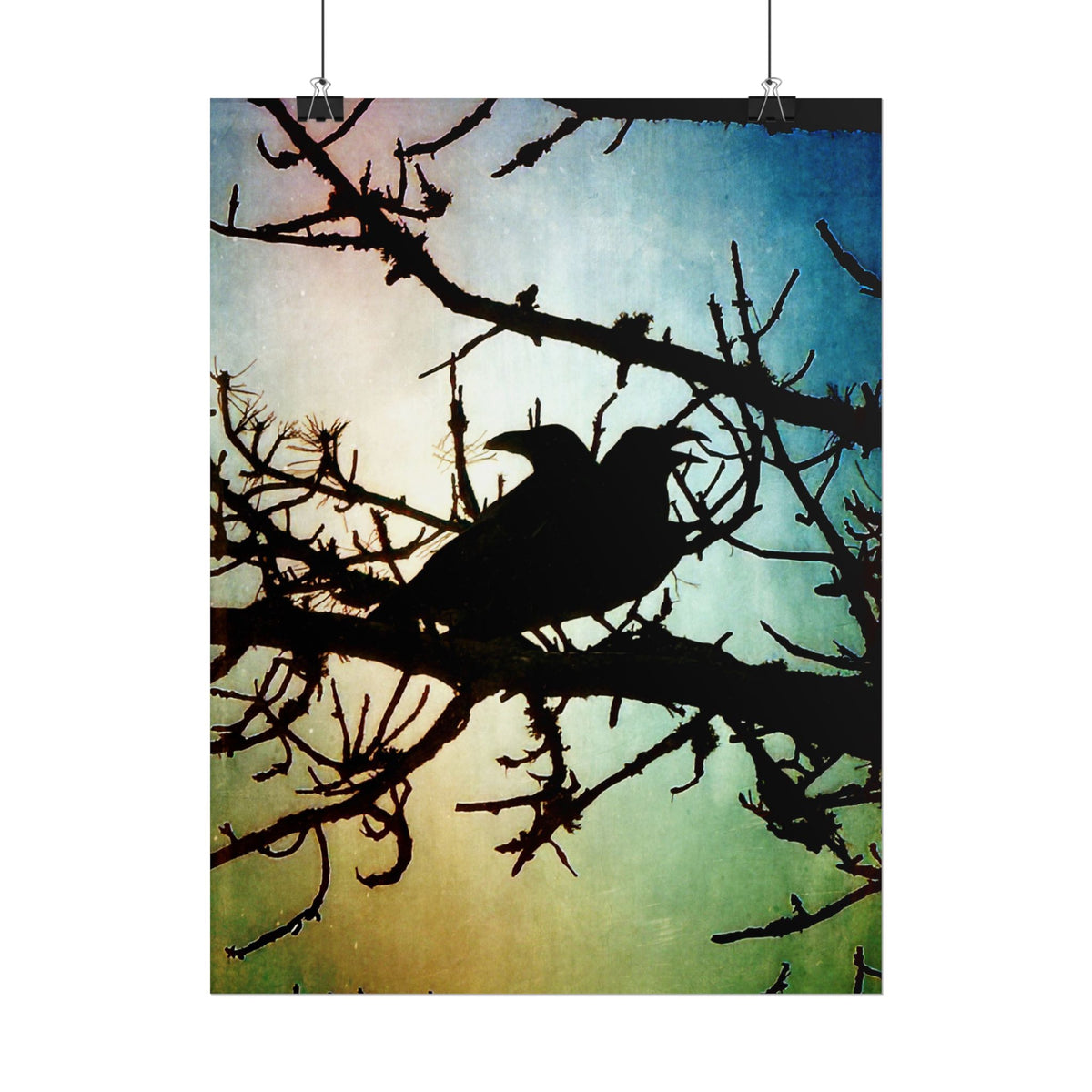Rolled Posters