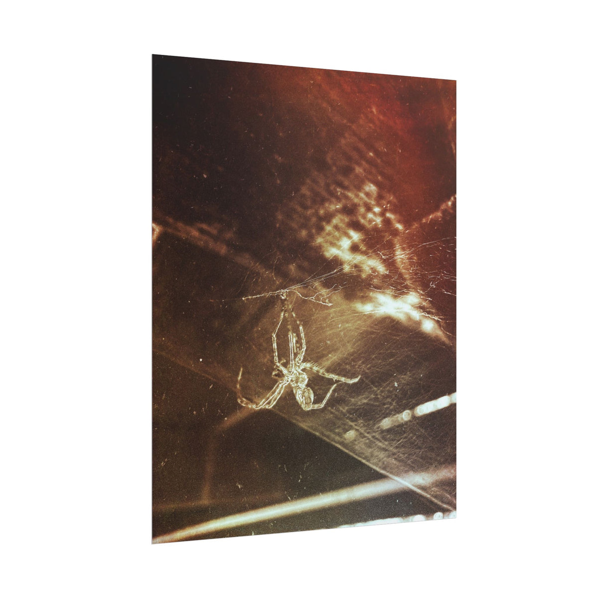Discarded Nightmare Rolled Posters