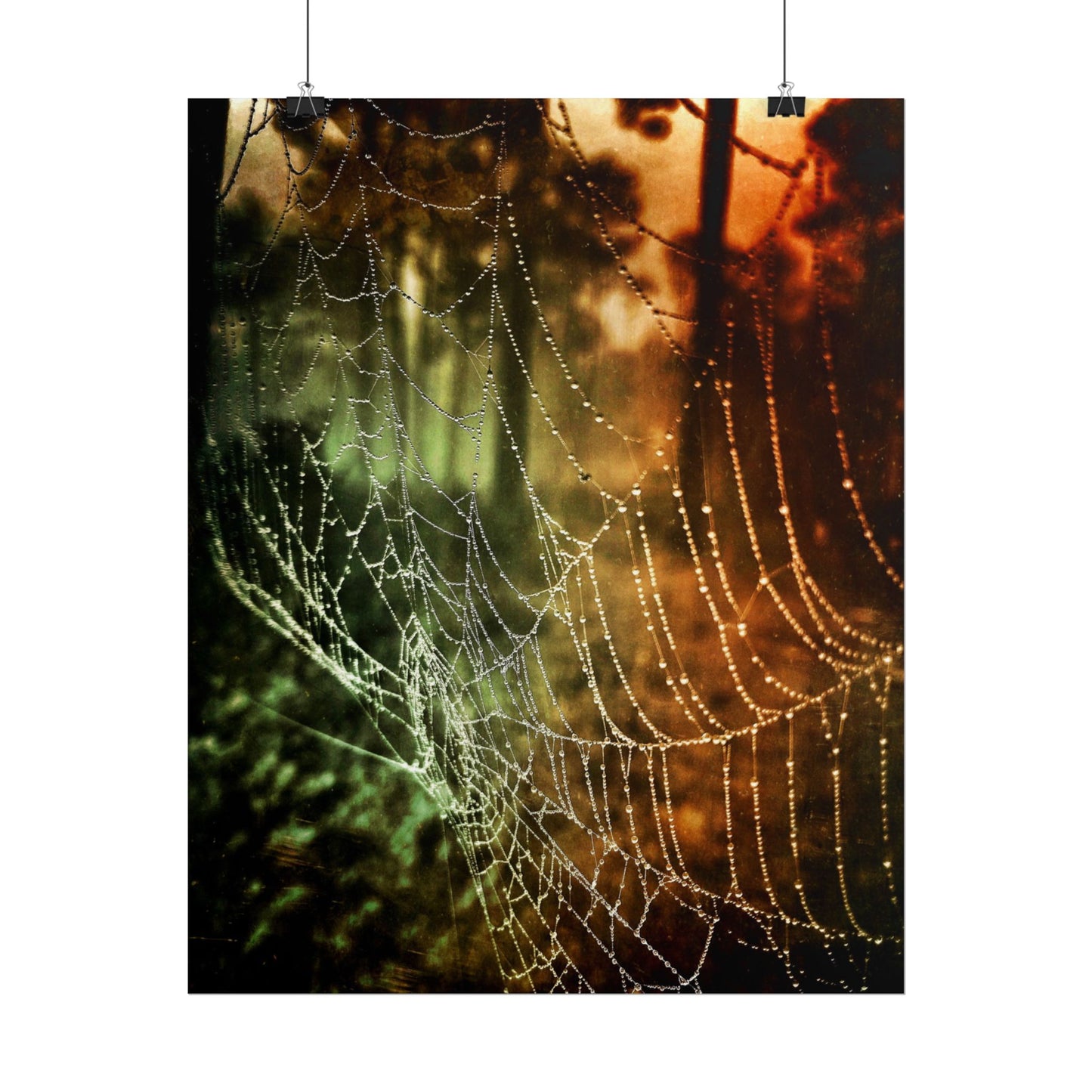 Tears of Dawn (V.2) Rolled Poster