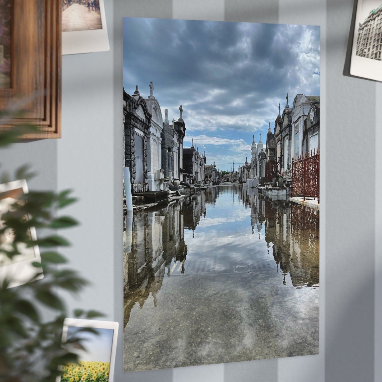 Avenue of Forever Paper Print