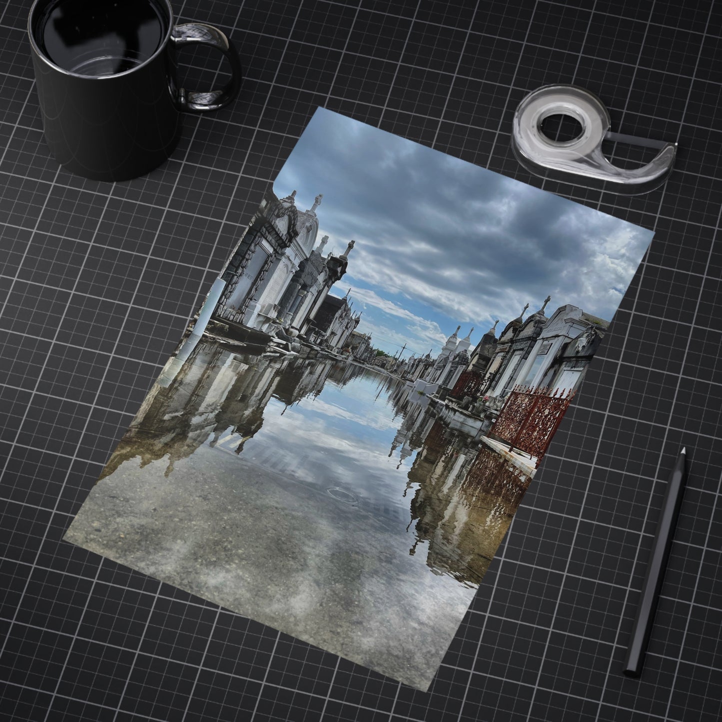 Avenue of Forever Paper Print