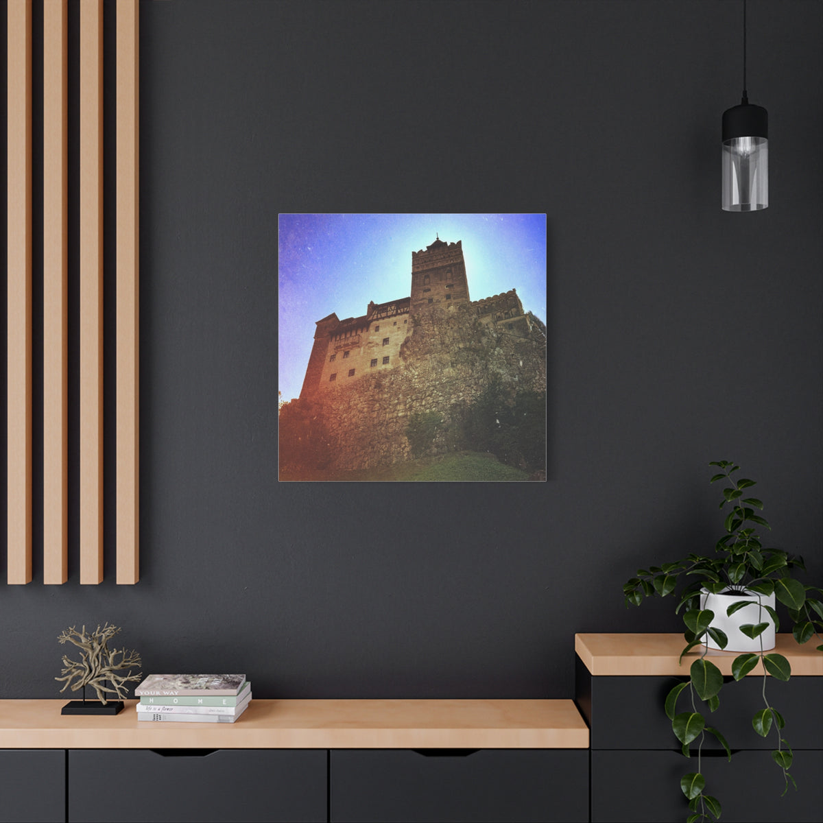 Castle Dracula Matte Canvas, Stretched, 1.25"