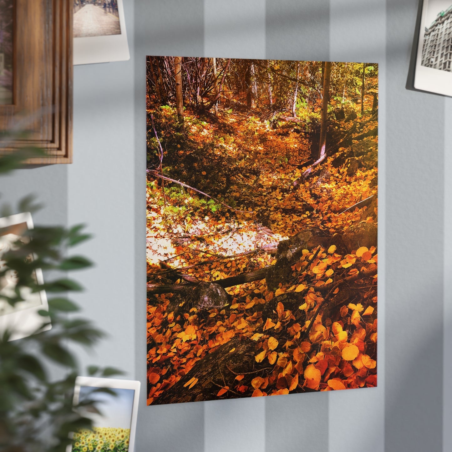 Autumn Gold Paper Print