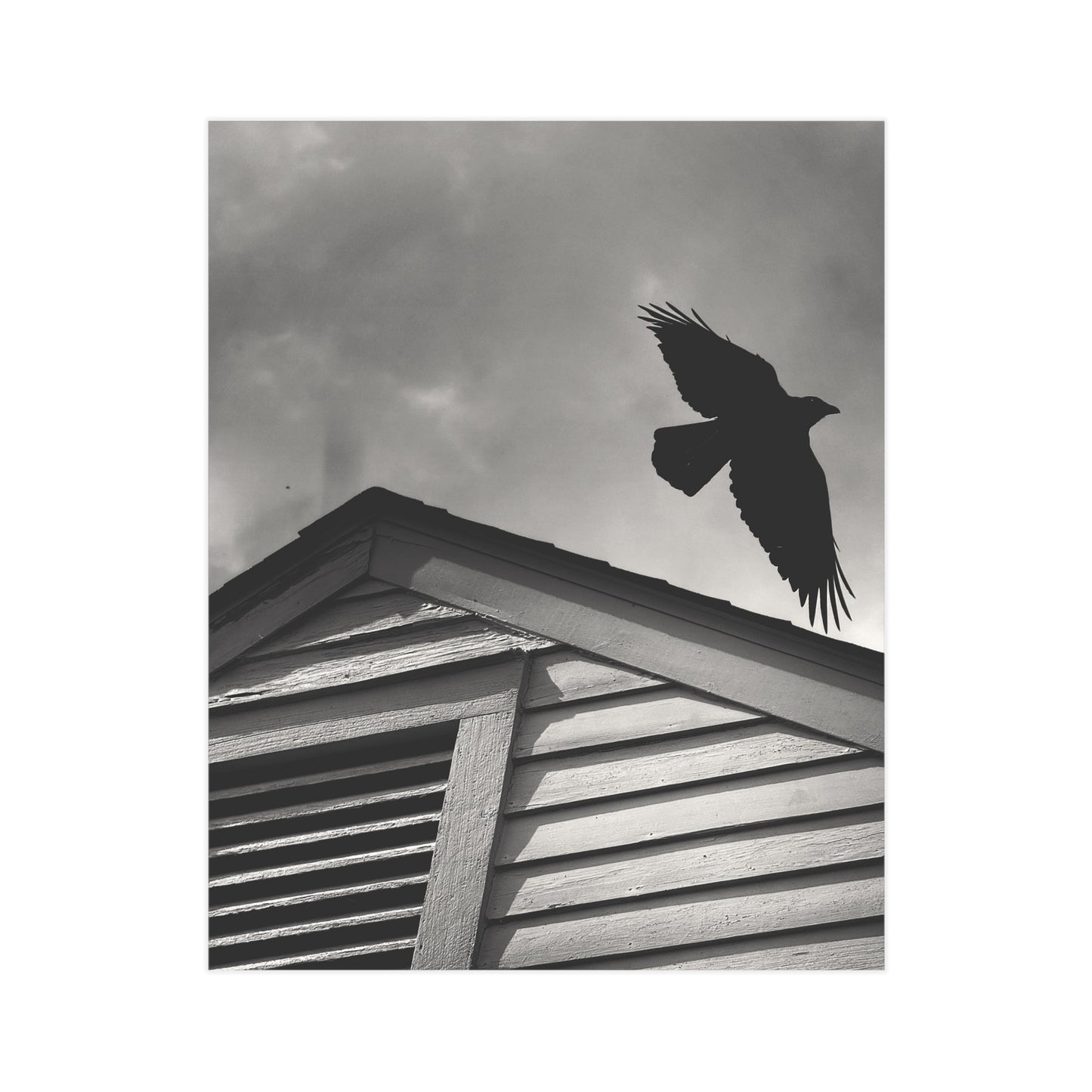 The Messenger Paper Print