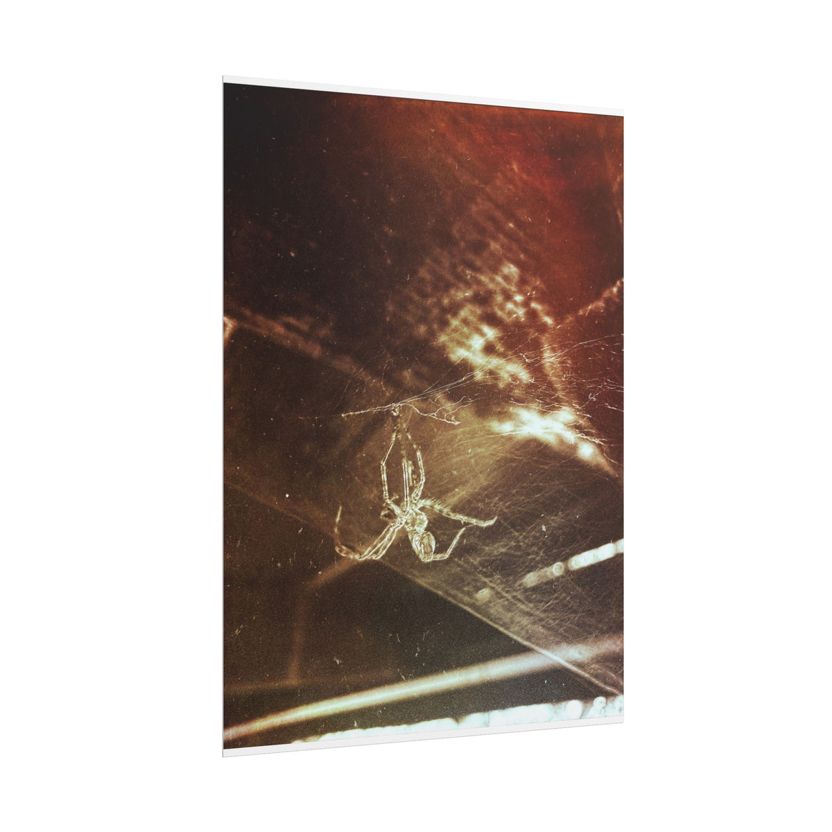 Discarded Nightmare Rolled Posters