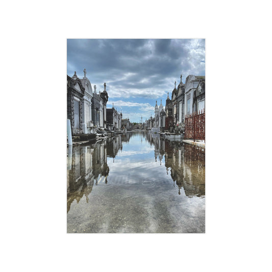 Avenue of Forever Paper Print