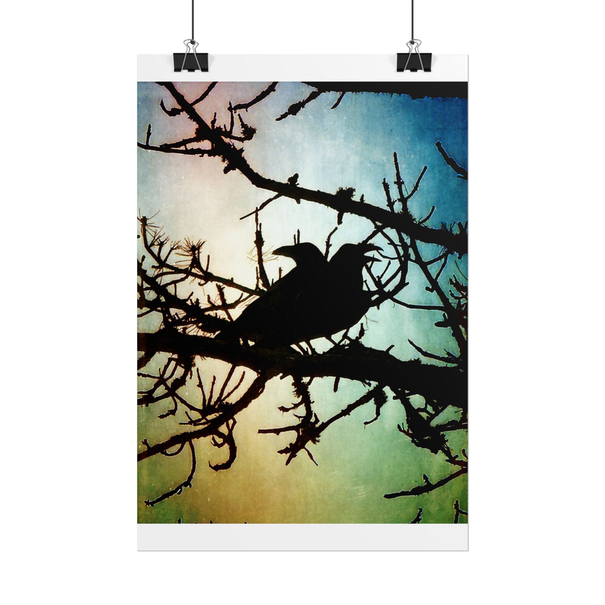 Rolled Posters