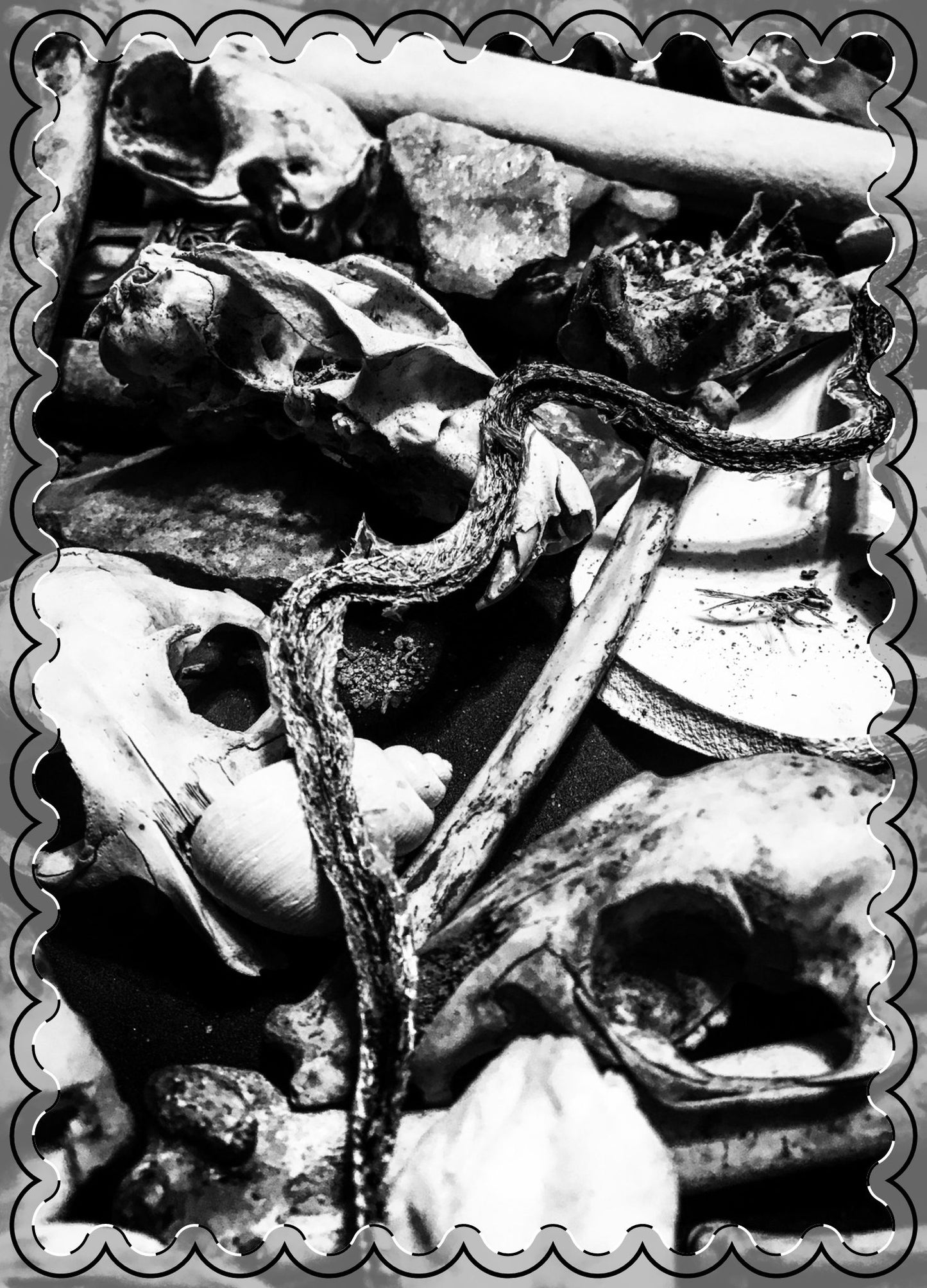 Them Bones Flat Greeting Cards (envelopes included)