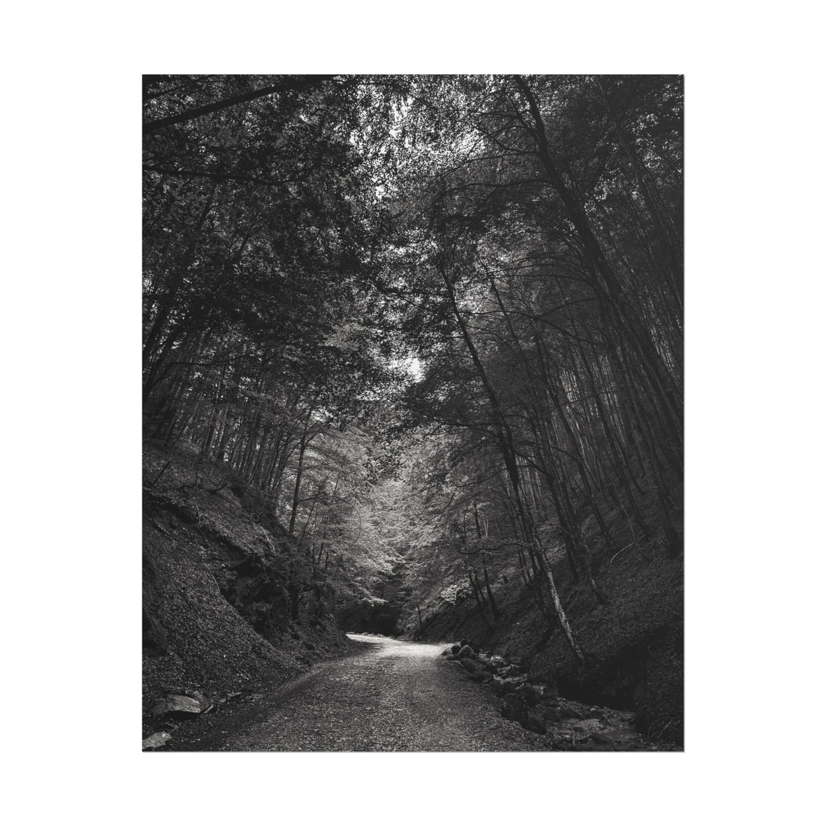 Carpathian Forest Rolled Posters