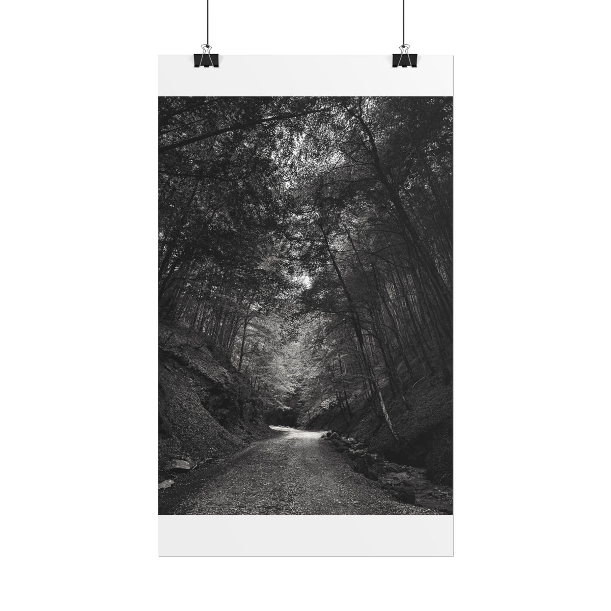 Carpathian Forest Rolled Posters