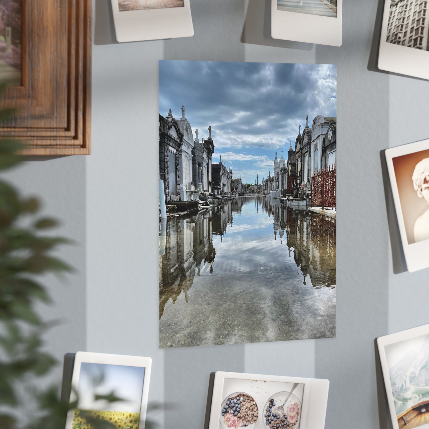 Avenue of Forever Paper Print