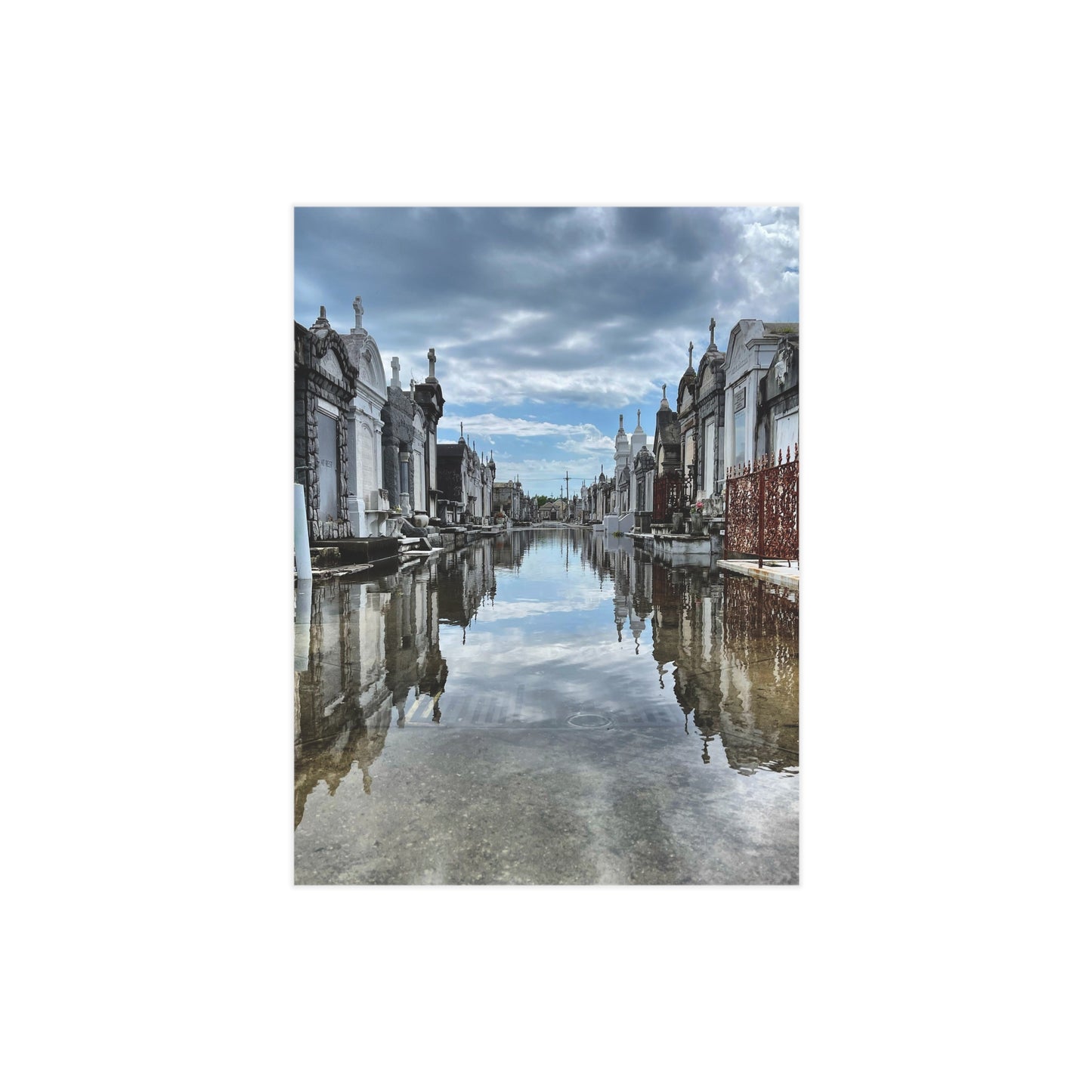 Avenue of Forever Paper Print