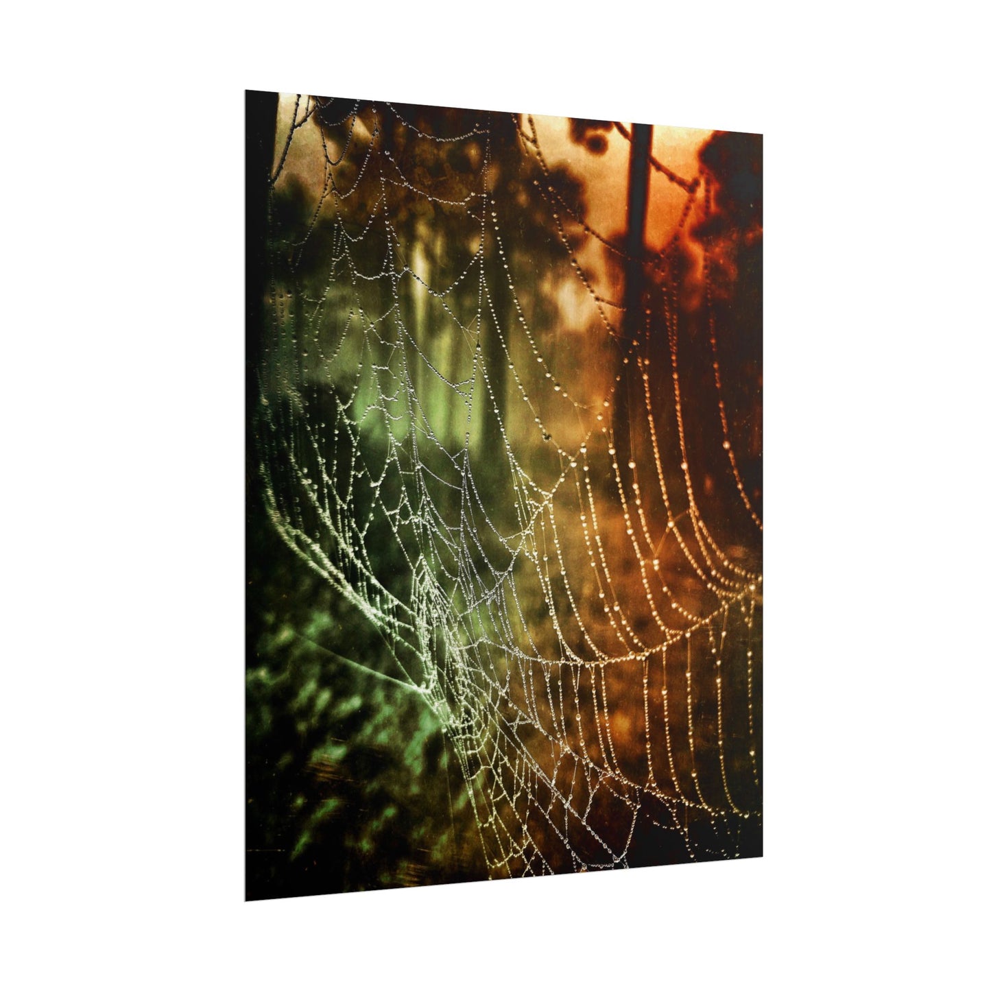 Tears of Dawn (V.2) Rolled Poster