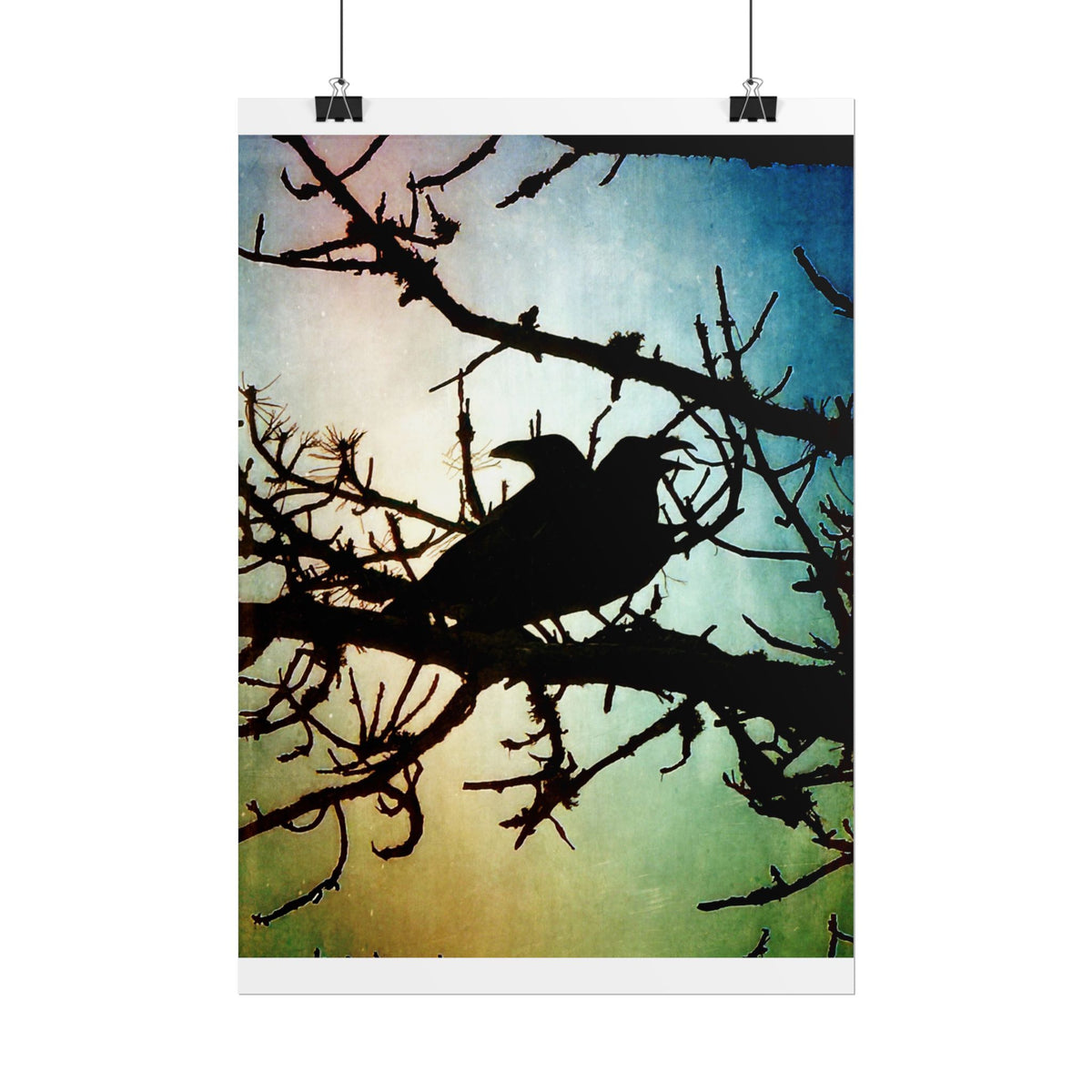 Rolled Posters