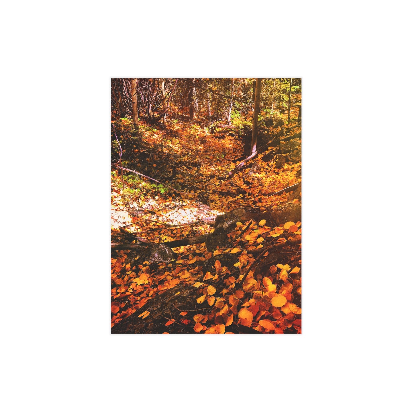 Autumn Gold Paper Print