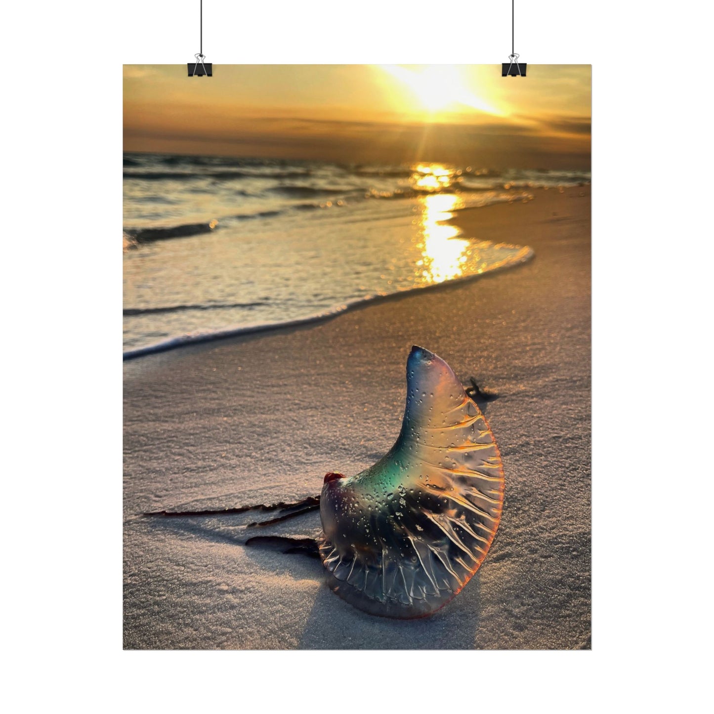 The Day The Moon Washed Ashore Rolled Poster