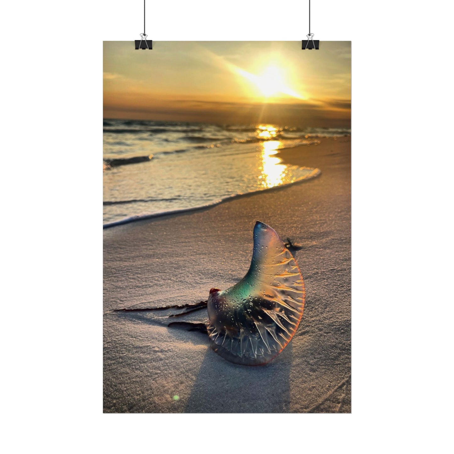 The Day The Moon Washed Ashore Rolled Poster