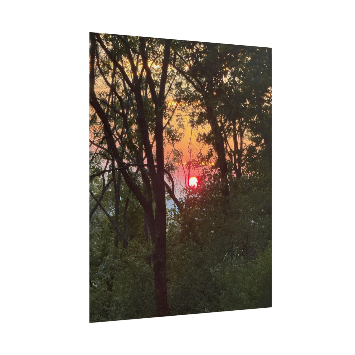 Carpathian Sunset Rolled Posters